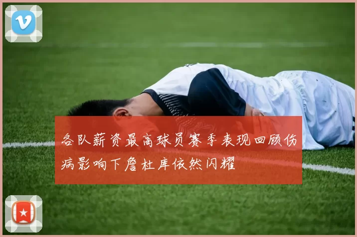 各队薪资最高球员赛季表现回顾伤病影响下詹杜库依然闪耀